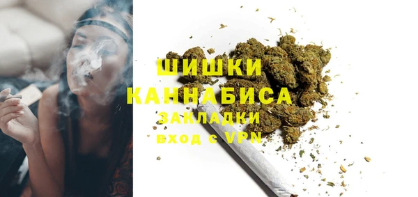 индика Балахна